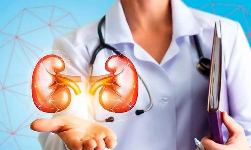 Empowering Kidney Care