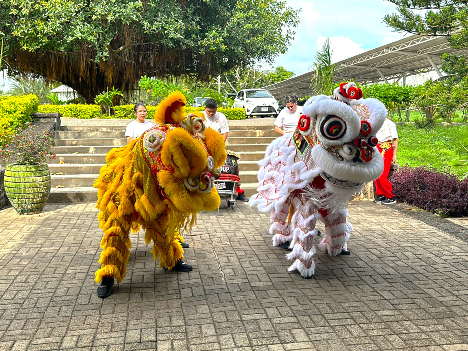 Chinese New Year Celebration at Medtech